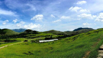 Taipei: Yangmingshan National Park Half-Day Tour - Stop 1: Xiaoyoukeng Recreation Area and the “Little Oil Well” effect