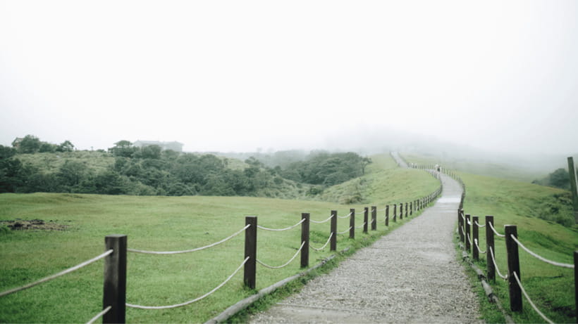 Taipei: Yangmingshan National Park Half-Day Tour - Stop 3: Zhuzihu Lake and the boardwalk viewpoint