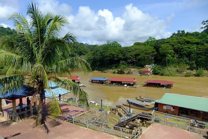 Taman Negara National Park Day Excursion from Kuala Lumpur PVT - Why This Taman Negara Day Trip From Kuala Lumpur Feels Worth It