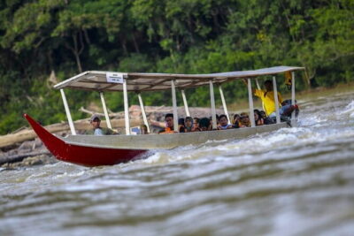 Taman Negara National Park Day Excursion from Kuala Lumpur PVT - Early Morning Pickup and the 6-Hour Drive Rhythm