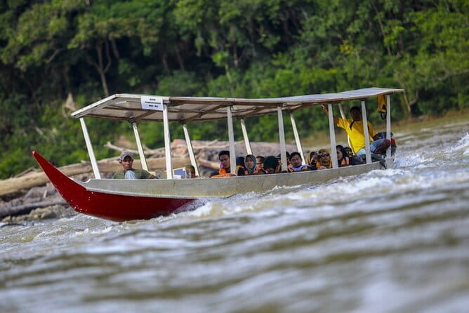 Taman Negara National Park Day Excursion from Kuala Lumpur PVT - Early Morning Pickup and the 6-Hour Drive Rhythm