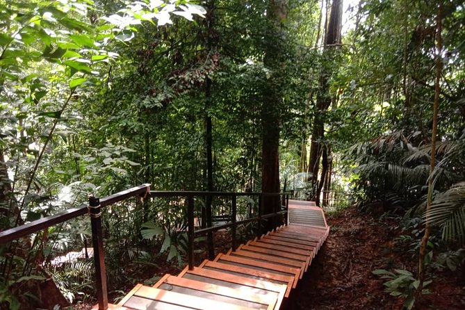Taman Negara National Park Day Tour (SIC - Join In Tour) - From Kuala Lumpur: the 5:30am start that sets the tone