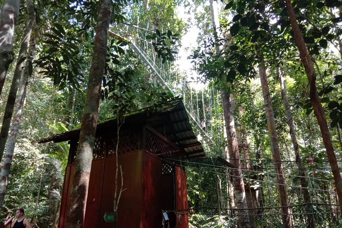 Taman Negara National Park Day Tour (SIC - Join In Tour) - Teresek Hill trek: rewarding views, real stairs, and uneven ground