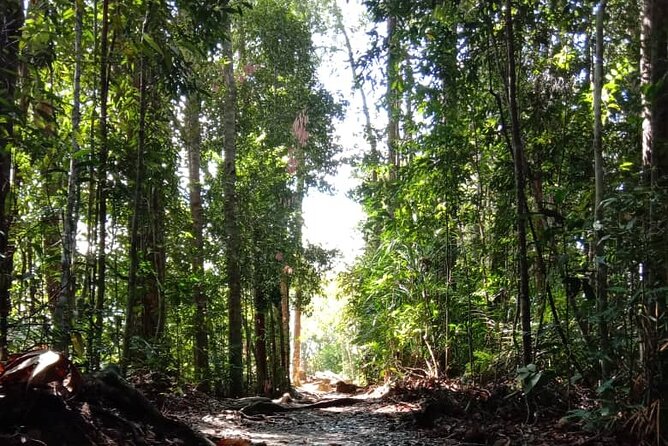 Taman Negara National Park Day Tour (SIC - Join In Tour) - Getting into the park: permits, camera license, and first steps