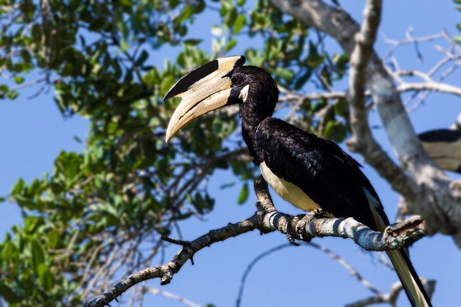 Tangalle/Hiriketiya: Yala National Park Safari - Timing: how the full 8 hours feels in real life