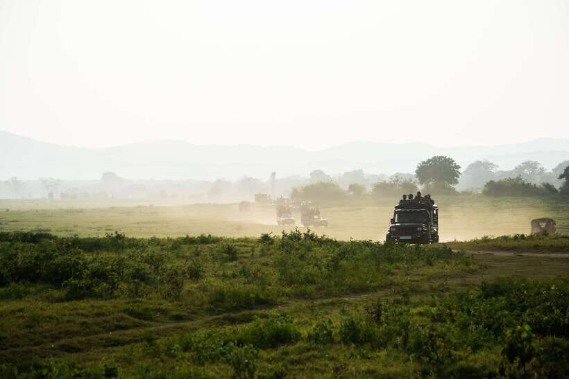 Tangalle/Hiriketiya: Yala National Park Safari in a 4x4 - Key Points Worth Knowing