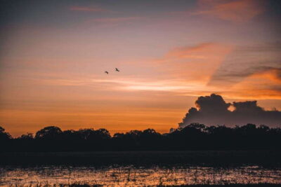 Tangalle/Hiriketiya: Yala National Park Safari in a 4x4 - Ruhunu Yala: Why This Park Draws People Back
