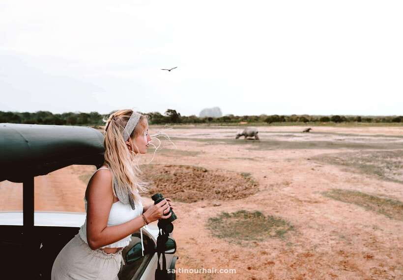 Tangalle/Hiriketiya: Yala National Park Safari in a 4x4 - The Wildlife Game Plan: Stops, Scanning, and Guide Moves
