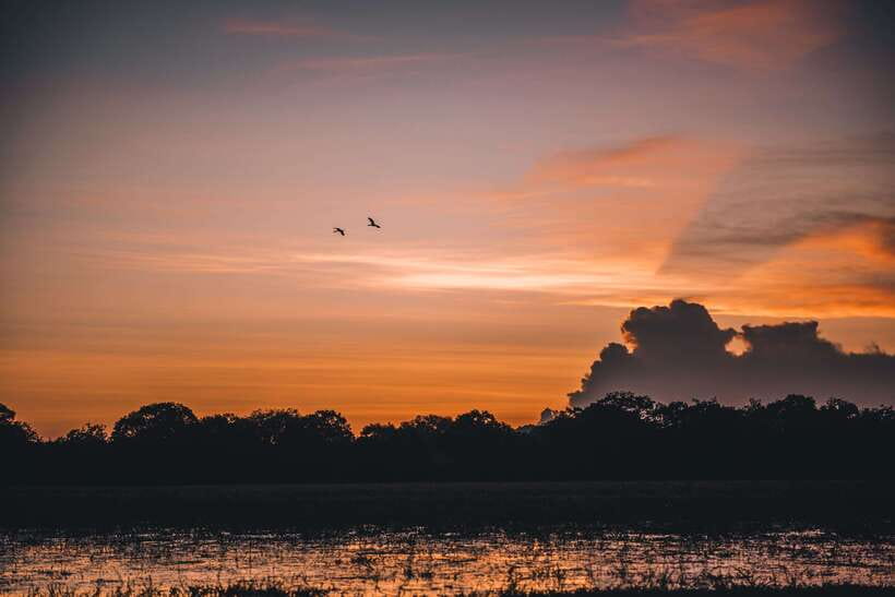 Tangalle/Hiriketiya: Yala National Park Safari in a 4x4 - Ruhunu Yala: Why This Park Draws People Back