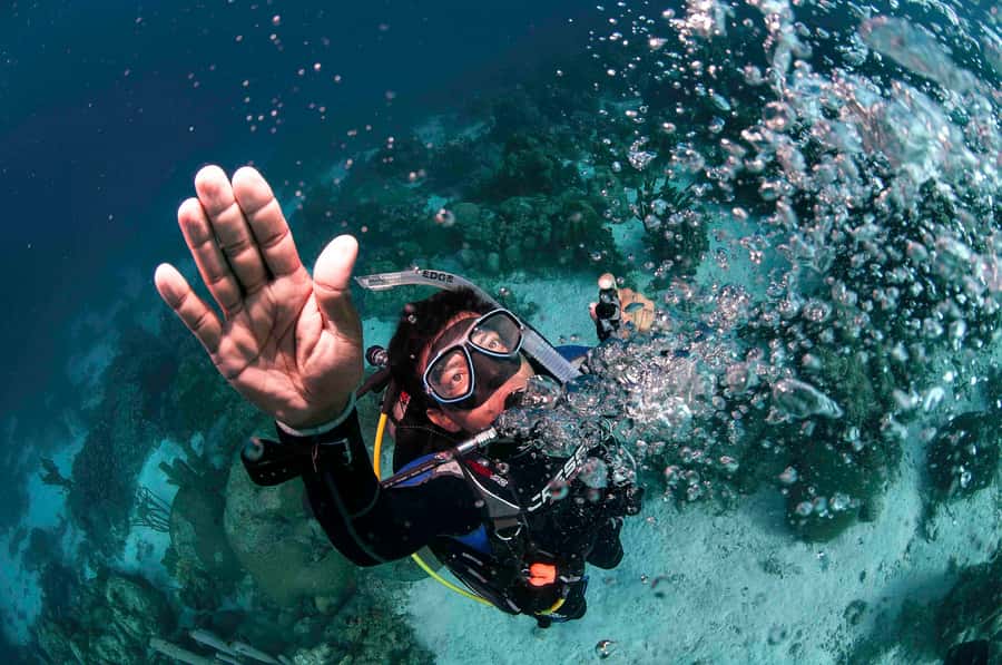 Tayrona National Park: Scuba Diving Tour for Beginners - What to Bring (So You’re Not Fishing for Stuff Mid-Trip)
