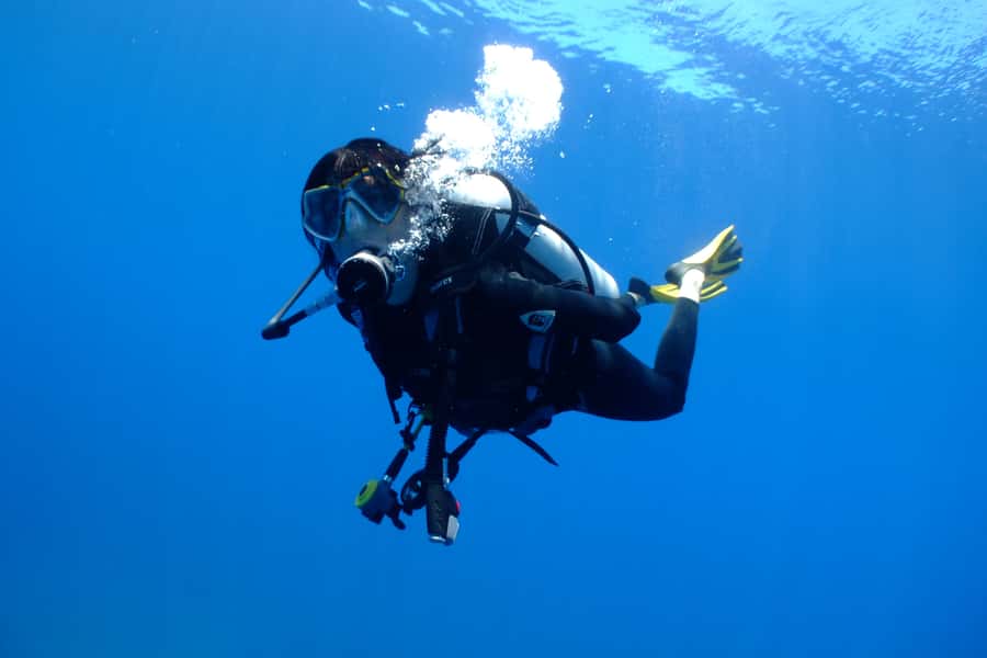Tayrona National Park: Scuba Diving Tour for Beginners - Price and Value: Is $138 a Fair Deal?