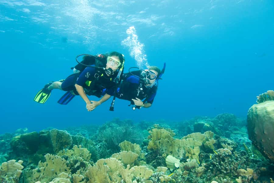 Tayrona National Park: Scuba Diving Tour for Beginners - Who This Course Suits Best (and Who Should Skip It)