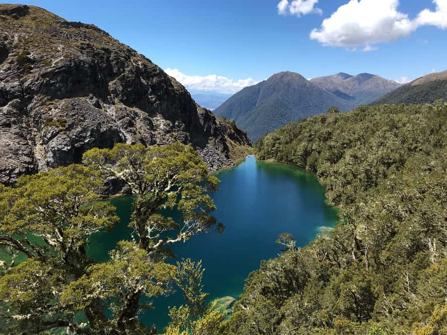 Te Anau: 30-Minute Fiordland National Park Scenic Flight - What you’ll spot over the Kepler Track and the Kepler Mountains