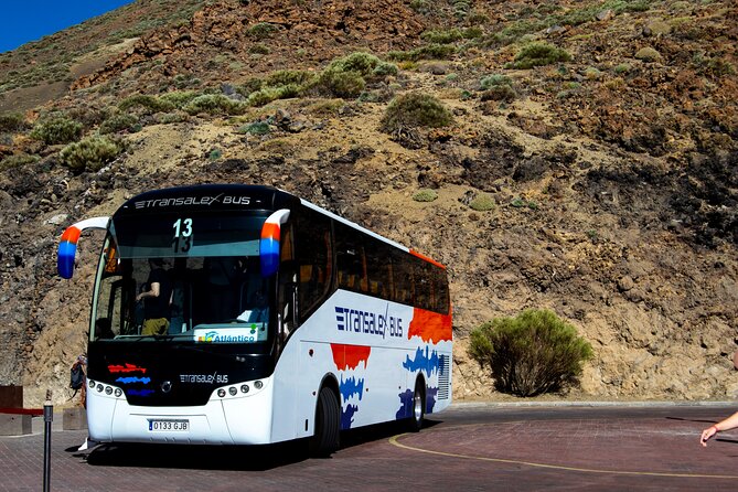 Teide National Park - Las Cañadas del Teide: the 17 km caldera area where photos feel real