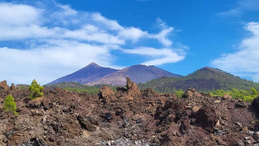 Teide National Park and Vilaflor ; local wine tasting - Teide National Park: Sámara crater walk option and the road’s biggest clues