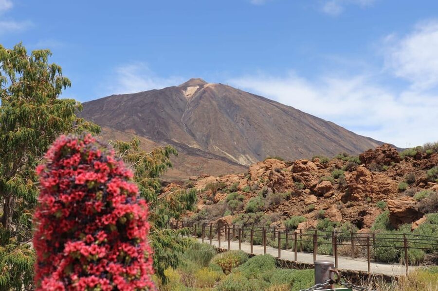 Teide National Park and Vilaflor ; local wine tasting - Roques de García and the Parador break for photos and real-life snacks