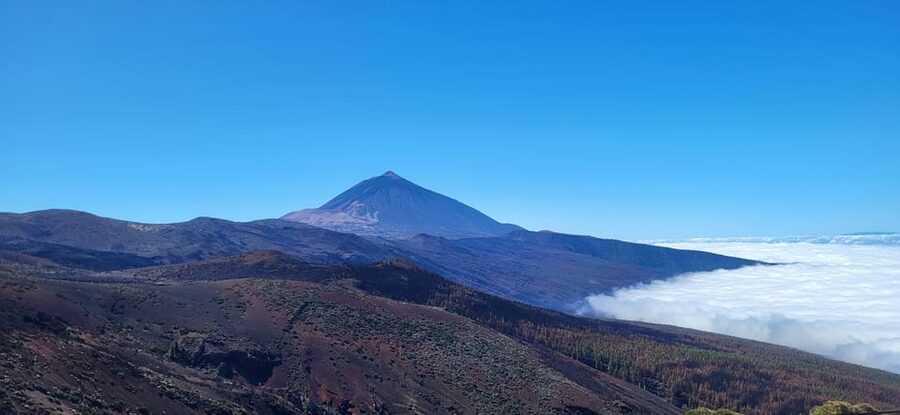 Teide National Park and Vilaflor ; local wine tasting - The pine forest and volcano viewpoint on the way back down