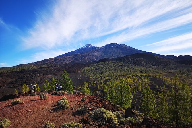Teide National Park for smaller groups - The route makes sense: the Teide highlights in the right order