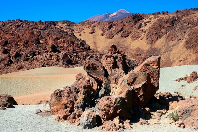 Teide National Park Full Experience with Professional Guide - Key highlights to look for on this Teide day trip