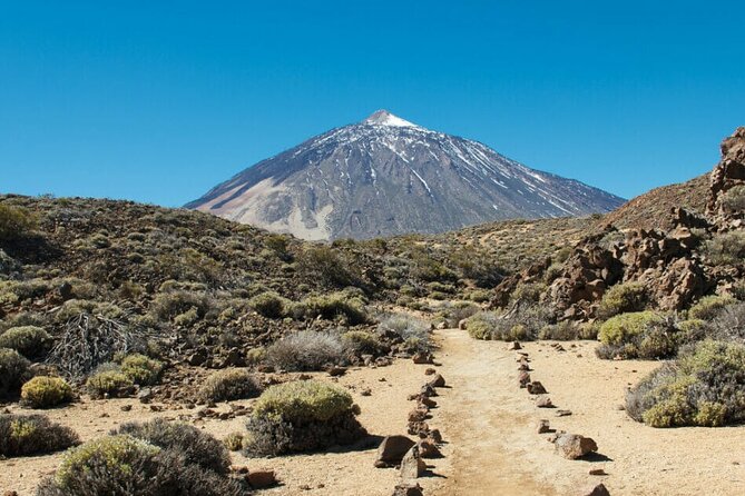 Teide National Park Full Experience with Professional Guide - Zapatilla de La Reina: the Queen’s shoe rock formation