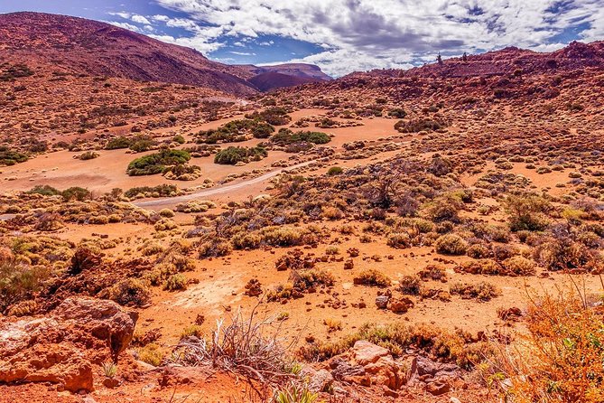 Teide National Park Half Day Tour with Hotel Pick up - Quick Read: What This Teide Half-Day Tour Gets You