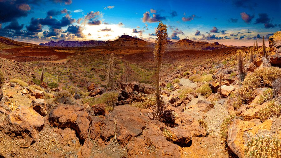 Teide National Park: Landscapes and Viewpoints Private Tour - Teide National Park’s Viewpoints: Why This Tour Feels Like Another Planet