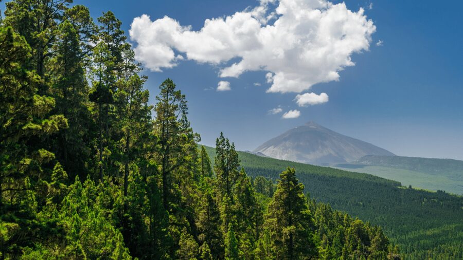 Teide National Park: Landscapes and Viewpoints Private Tour - Los Roques de Garcia: Tenerife’s Most Emblematic Rock Moment