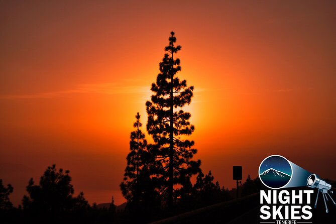Teide National Park Sunset & Stargazing with Dinner (Star Safari) - Restaurante 7 Cañadas dinner: what’s included, and what to expect