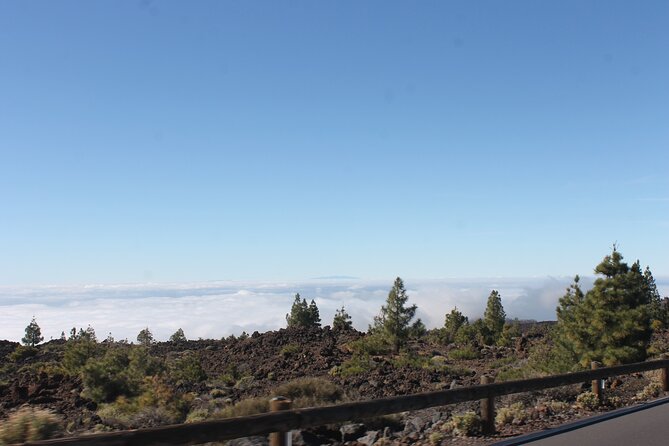 Teide Volcano National Park Quad Biking Tour - Riding through Teide: forests, mountains, and guided pace