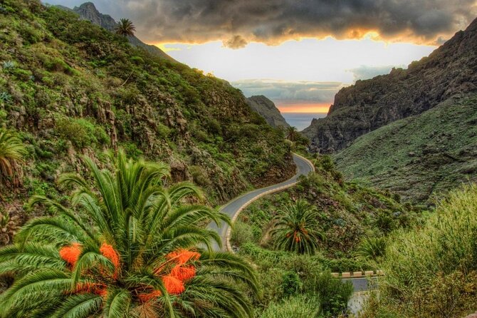 Tenerife Grand Tour: including Teide National Park and Masca - Key highlights I’d prioritize
