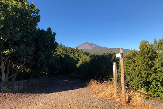 Tenerife Grand Tour: including Teide National Park and Masca - Price and value for a packed Tenerife day