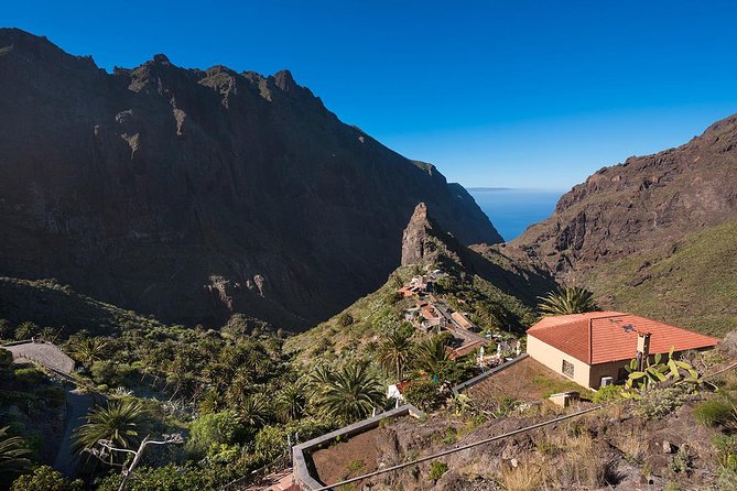 Tenerife Grand Tour: including Teide National Park and Masca - Icod de los Vinos and Drago Milenario (time to slow down)