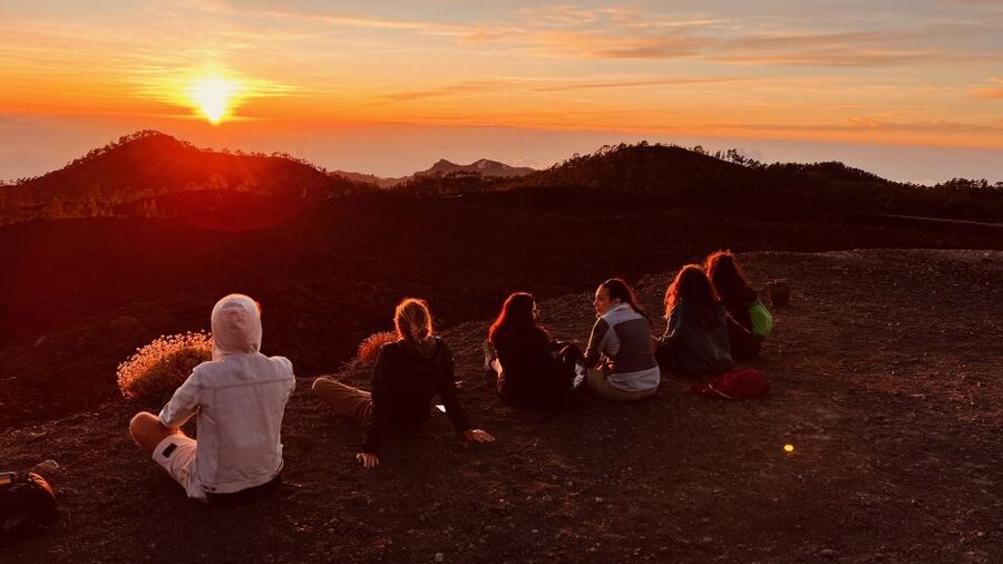 Tenerife: Private VIP Tour Teide National Park - Key points