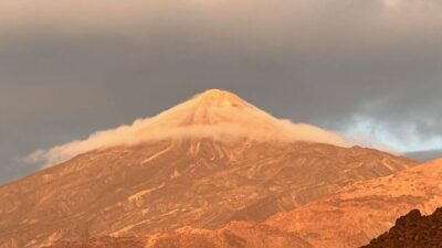 Tenerife: Private VIP Tour Teide National Park - From Tenerife’s south up through vegetation changes