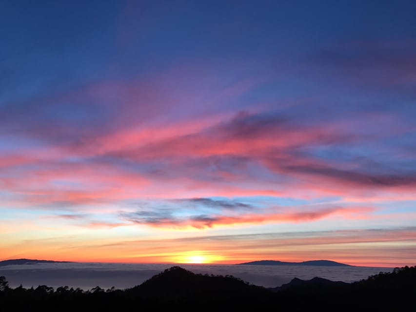 Tenerife: Private VIP Tour Teide National Park - Food, drinks, and what to plan so the day feels smooth