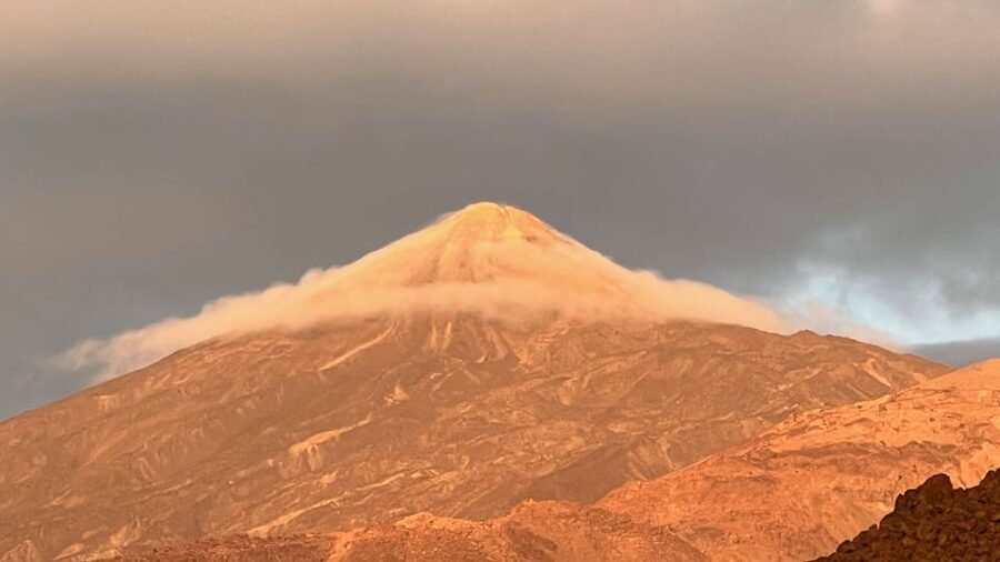 Tenerife: Private VIP Tour Teide National Park - From Tenerife’s south up through vegetation changes