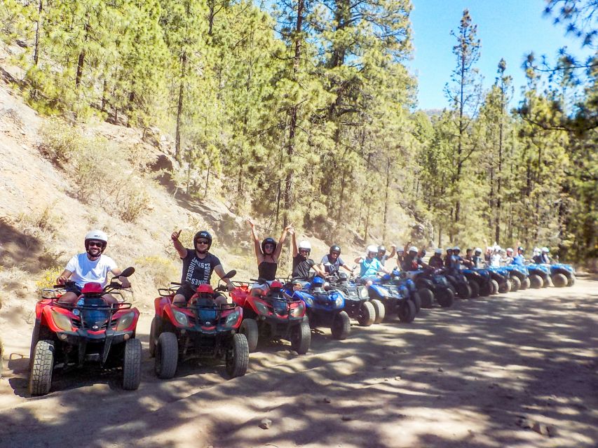 Tenerife: Quad Adventure Tour in Teide National Park - Price and value: is $94 for 4 hours a fair deal?