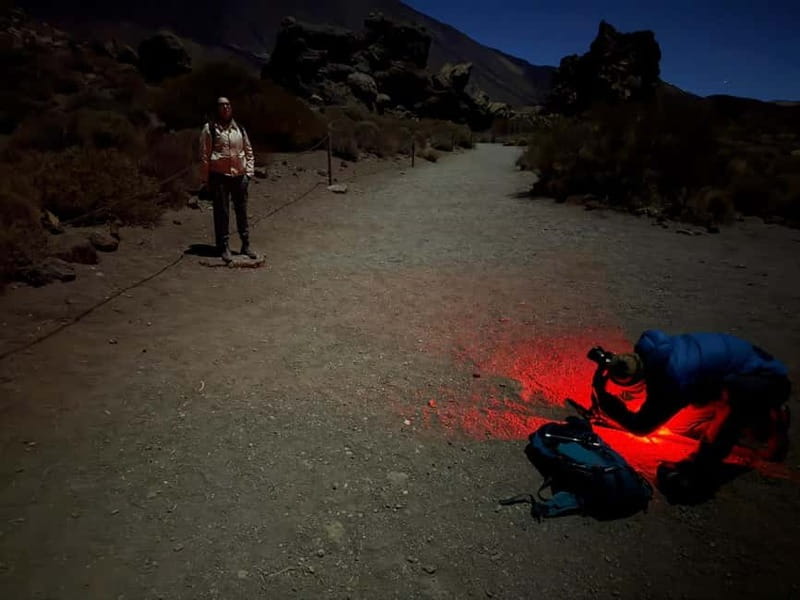Tenerife: Stargazing Walk in Teide National Park - Key Things I’d Plan Around