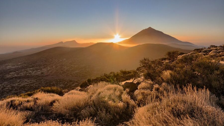 Tenerife: Teide National Park and Dolphins Sailboat Tour - Quick hits: what matters most on this Tenerife day