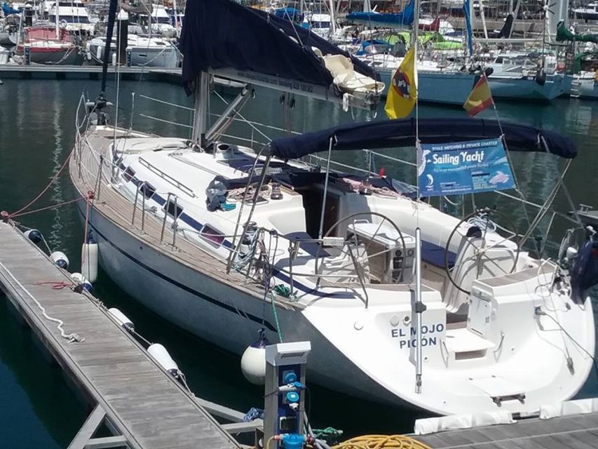 Tenerife: Teide National Park and Dolphins Sailboat Tour - FAQ
