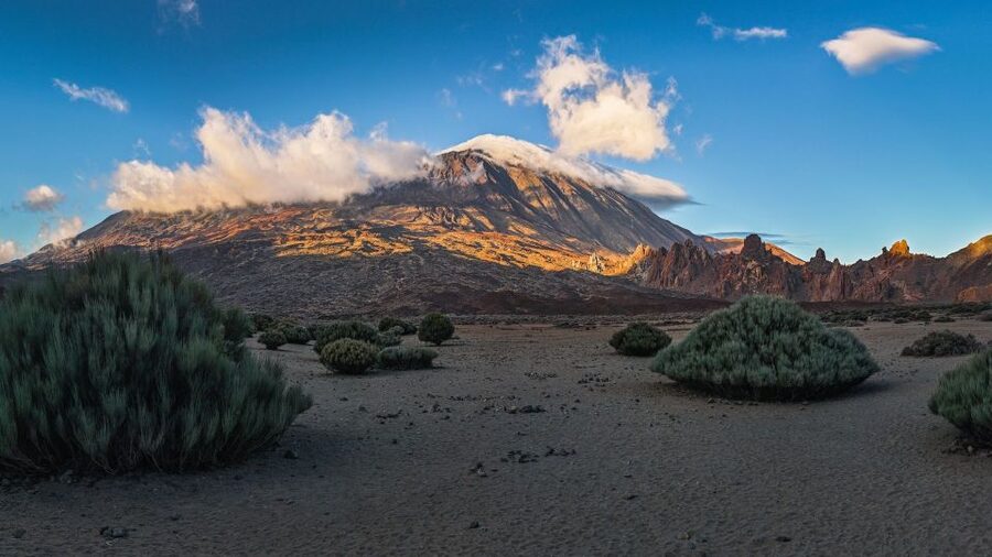 Tenerife: Teide National Park and Dolphins Sailboat Tour - Teide National Park viewpoints: why the timing and stops work