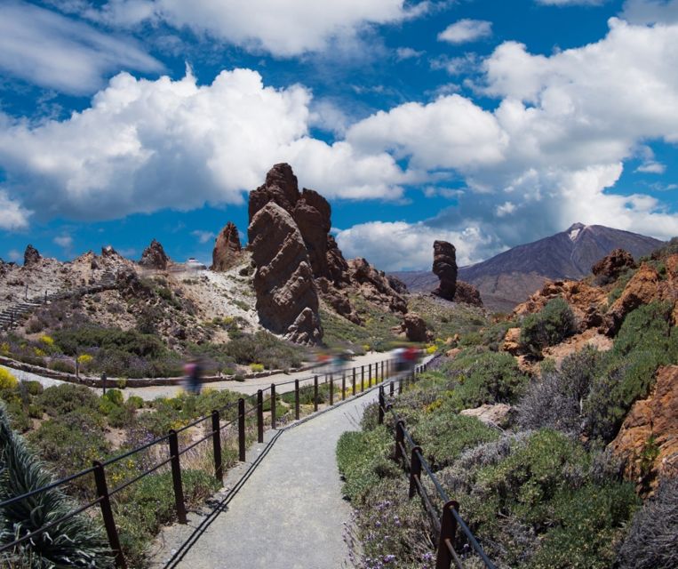 Tenerife: Teide National Park and Dolphins Sailboat Tour - The pace, the guide, and why the day feels well-managed
