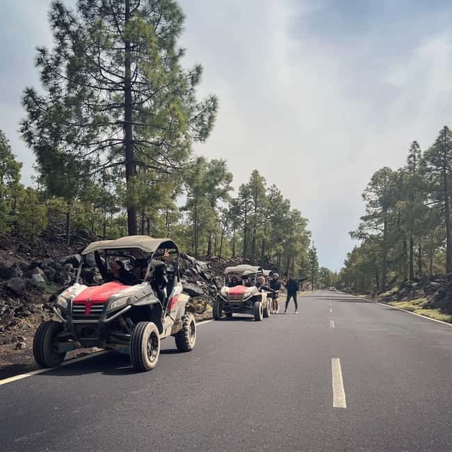 Tenerife: Teide National Park and Volcano Buggy Tour - The core route: from pine hills up toward Mount Teide