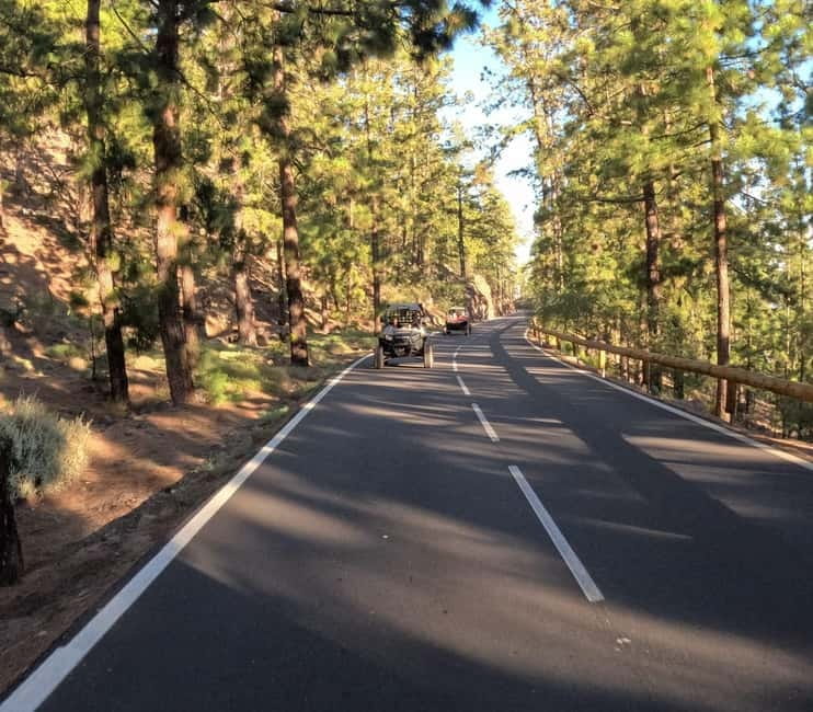Tenerife: Teide National Park and Volcano Buggy Tour - Roques de García: rock formations shaped by time