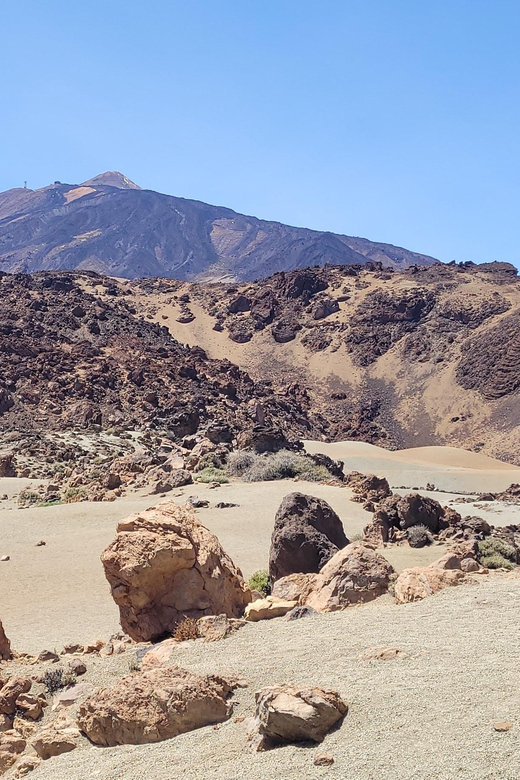 Tenerife: Teide National Park Buggy Tour with Hotel Transfer - Price and value: is $203 per group worth it?