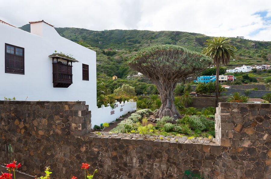 Tenerife: Teide National Park Full-Day Tour with Pickup - Teide National Park: the volcanic “wow” you came for