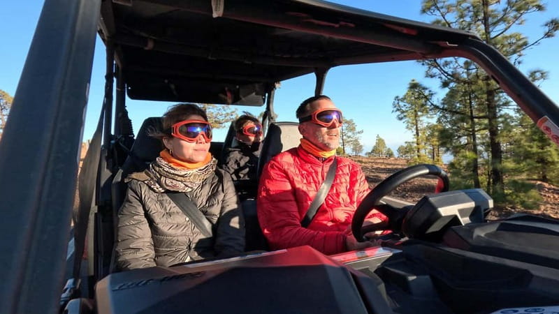 Tenerife: Teide National Park Guided Buggy Tour - Price and value: is $221 per group up to 2 worth it?