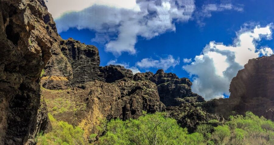 Tenerife: Teide National Park & Teno Rural Park Private Tour - From canary pine forests to Teide National Park’s volcanic “other planet” feel