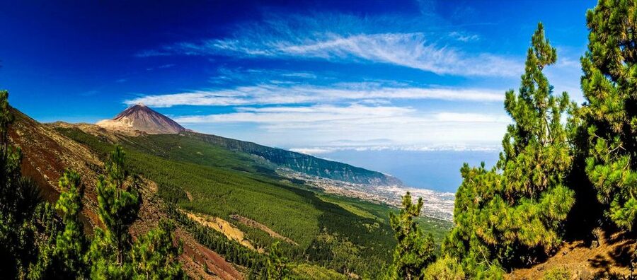 Tenerife: Teide National Park & Teno Rural Park Private Tour - Lunch time: how to use the 1.5-hour restaurant stop well