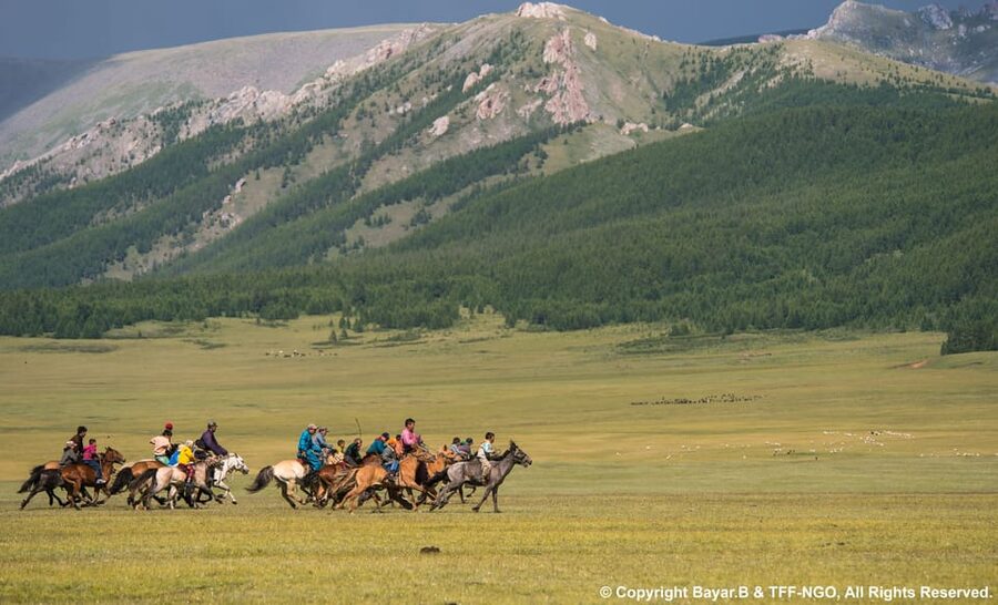 Terelj National Park: Tour with horse riding and hiking - Quick takes